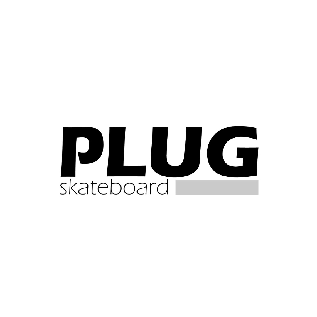 Plug